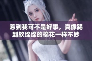 惹到我可不是好事，真像踢到软绵绵的棉花一样不妙