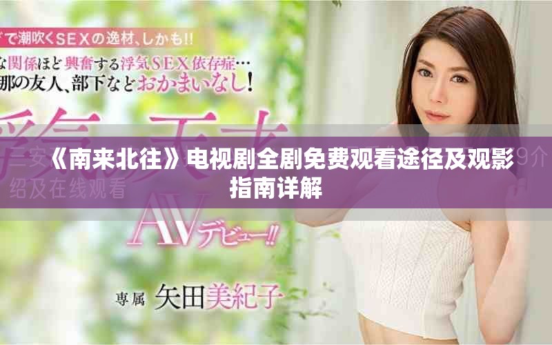 《南来北往》电视剧全剧免费观看途径及观影指南详解