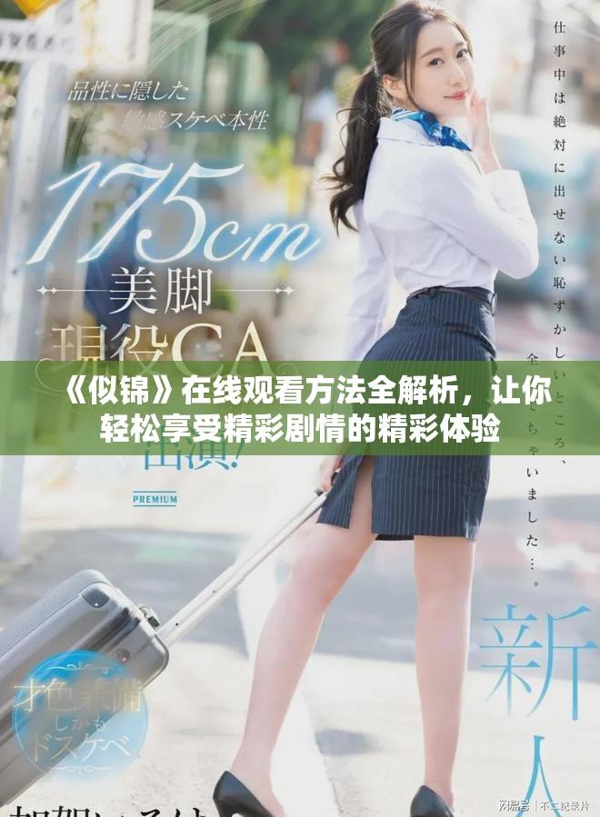 《似锦》在线观看方法全解析，让你轻松享受精彩剧情的精彩体验