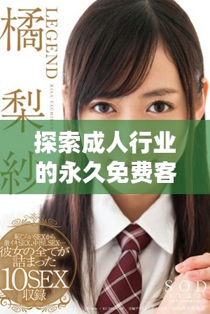 探索成人行业的永久免费客户关系管理系统新选择