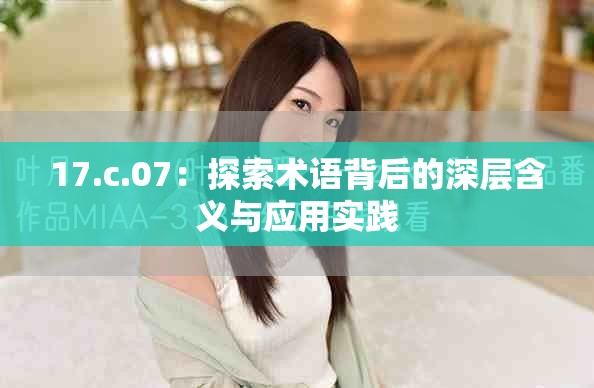 17.c.07：探索术语背后的深层含义与应用实践