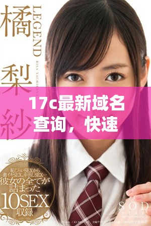 17c最新域名查询，快速获取域名信息的官方指南