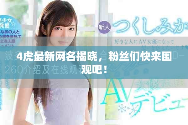 4虎最新网名揭晓，粉丝们快来围观吧！