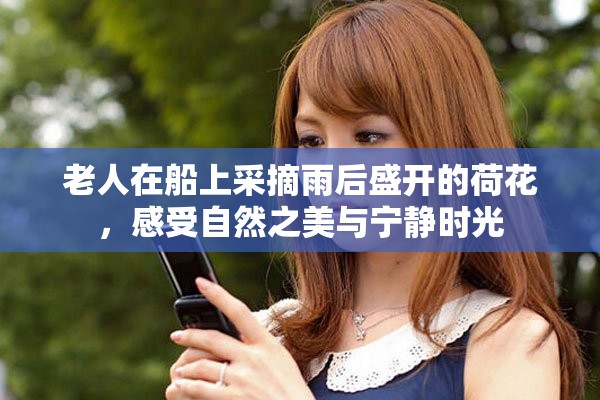 老人在船上采摘雨后盛开的荷花，感受自然之美与宁静时光