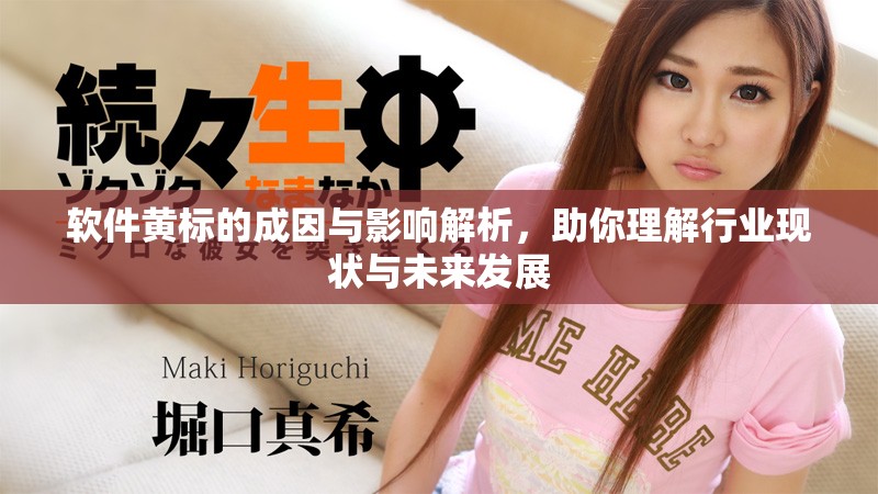 软件黄标的成因与影响解析，助你理解行业现状与未来发展
