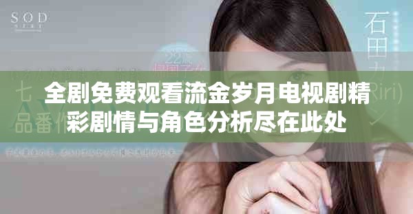 全剧免费观看流金岁月电视剧精彩剧情与角色分析尽在此处
