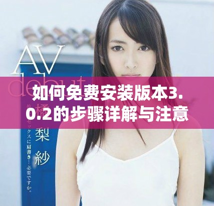 如何免费安装版本3.0.2的步骤详解与注意事项
