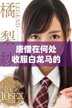 唐僧在何处收服白龙马的传奇故事及其背后意义解析