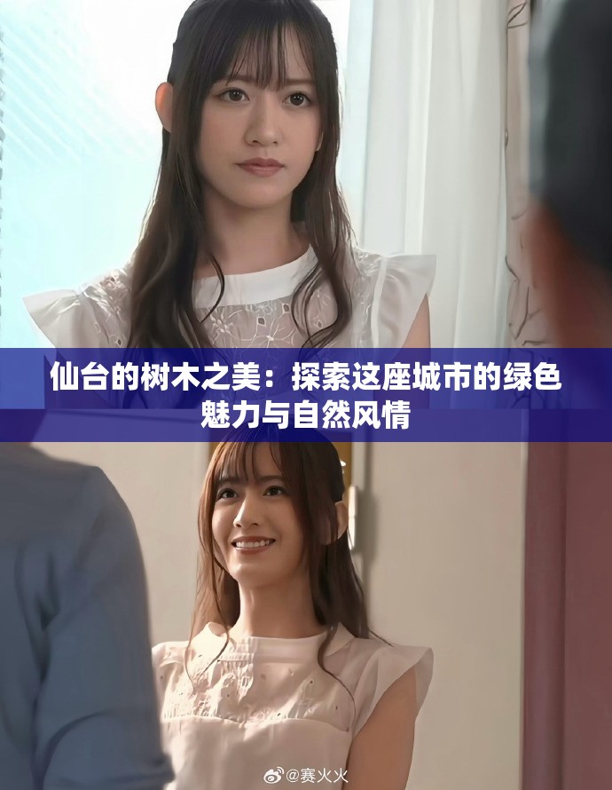仙台的树木之美：探索这座城市的绿色魅力与自然风情