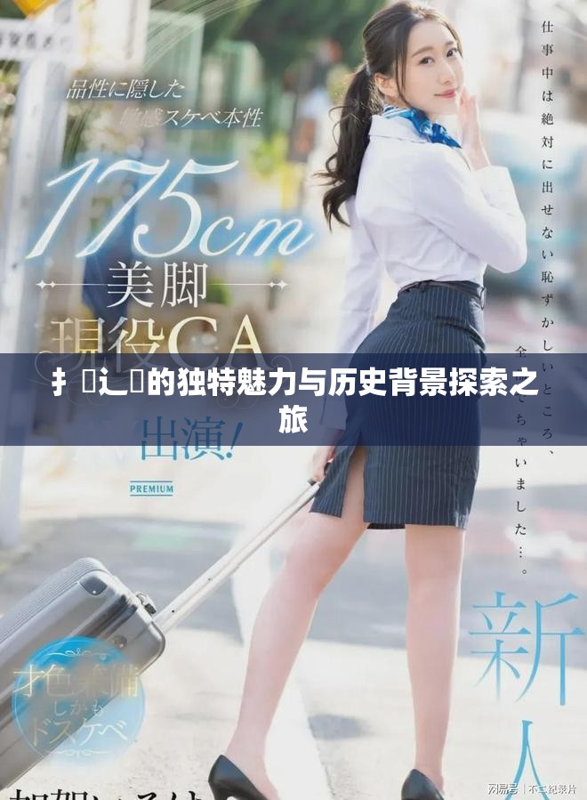 扌喿辶畐的独特魅力与历史背景探索之旅