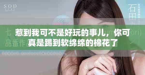惹到我可不是好玩的事儿，你可真是踢到软绵绵的棉花了