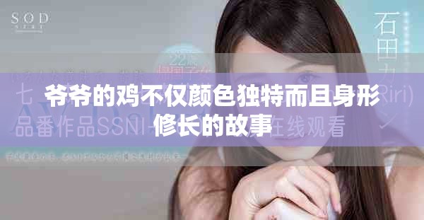 爷爷的鸡不仅颜色独特而且身形修长的故事
