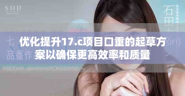 优化提升17.c项目口重的起草方案以确保更高效率和质量