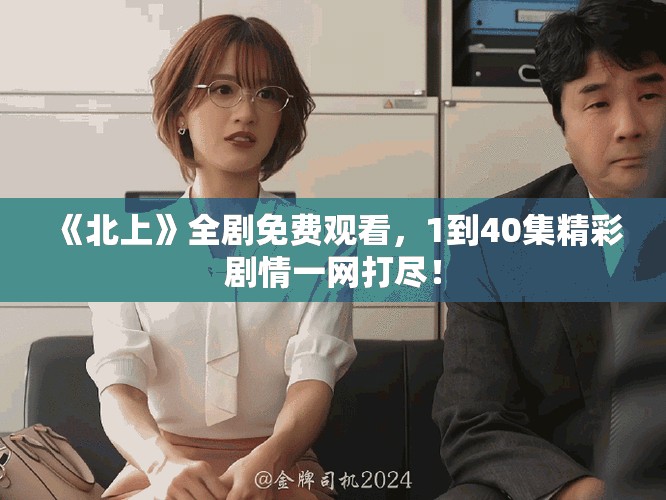 《北上》全剧免费观看，1到40集精彩剧情一网打尽！