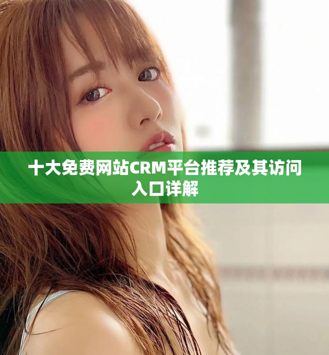 十大免费网站CRM平台推荐及其访问入口详解