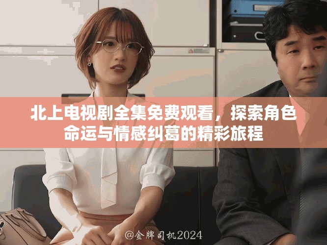 北上电视剧全集免费观看，探索角色命运与情感纠葛的精彩旅程