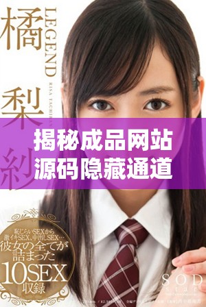 揭秘成品网站源码隐藏通道的秘密与应用解析