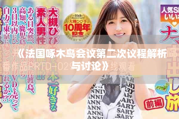 《法国啄木鸟会议第二次议程解析与讨论》