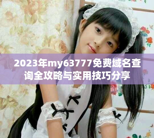 2023年my63777免费域名查询全攻略与实用技巧分享