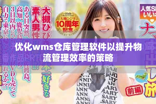 优化wms仓库管理软件以提升物流管理效率的策略