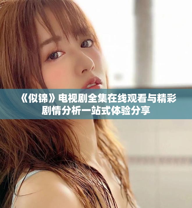 《似锦》电视剧全集在线观看与精彩剧情分析一站式体验分享