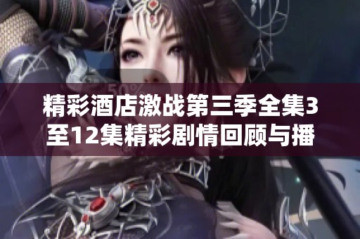 精彩酒店激战第三季全集3至12集精彩剧情回顾与播放指南