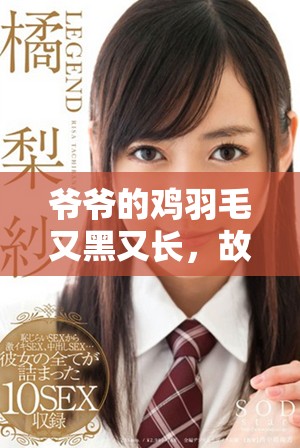 爷爷的鸡羽毛又黑又长，故事背后的秘密是什么