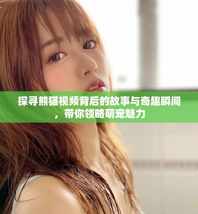 探寻熊猫视频背后的故事与奇趣瞬间，带你领略萌宠魅力