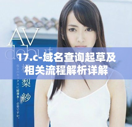 17.c-域名查询起草及相关流程解析详解