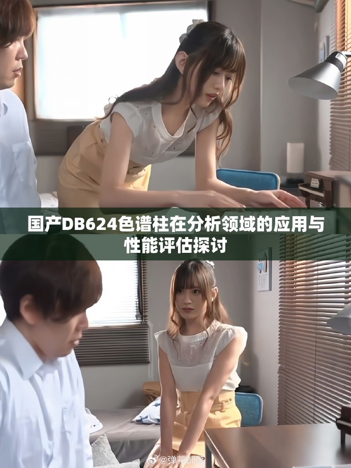 国产DB624色谱柱在分析领域的应用与性能评估探讨