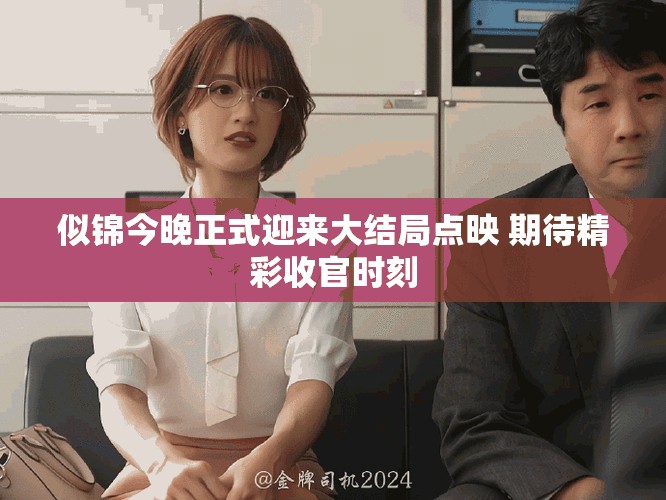 似锦今晚正式迎来大结局点映 期待精彩收官时刻