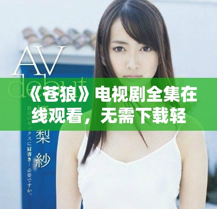 《苍狼》电视剧全集在线观看，无需下载轻松享受精彩剧情