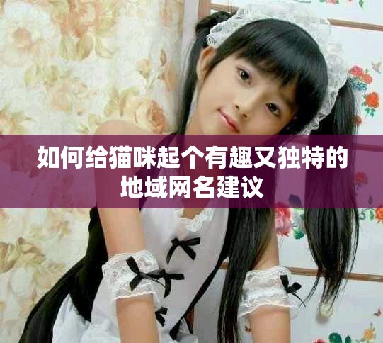 如何给猫咪起个有趣又独特的地域网名建议