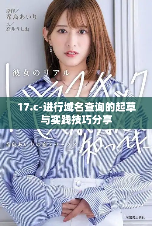 17.c-进行域名查询的起草与实践技巧分享