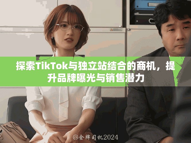 探索TikTok与独立站结合的商机，提升品牌曝光与销售潜力