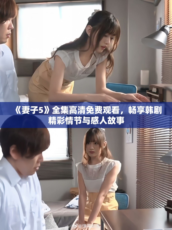 《妻子5》全集高清免费观看，畅享韩剧精彩情节与感人故事