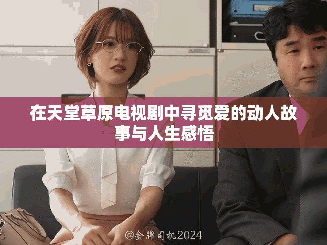在天堂草原电视剧中寻觅爱的动人故事与人生感悟