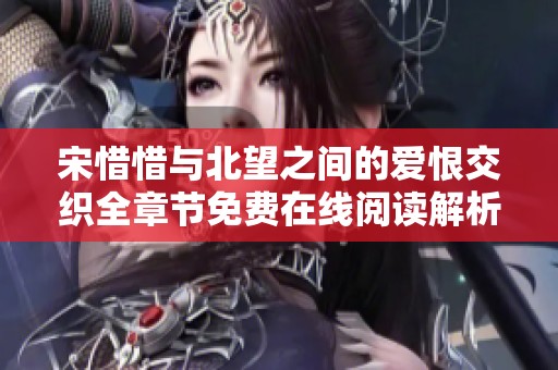 宋惜惜与北望之间的爱恨交织全章节免费在线阅读解析