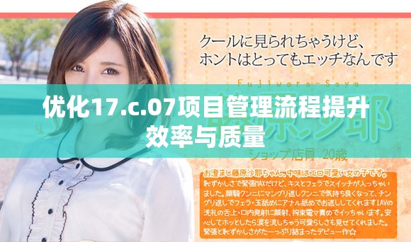 优化17.c.07项目管理流程提升效率与质量