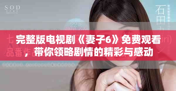 完整版电视剧《妻子6》免费观看，带你领略剧情的精彩与感动