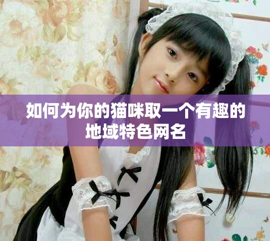 如何为你的猫咪取一个有趣的地域特色网名