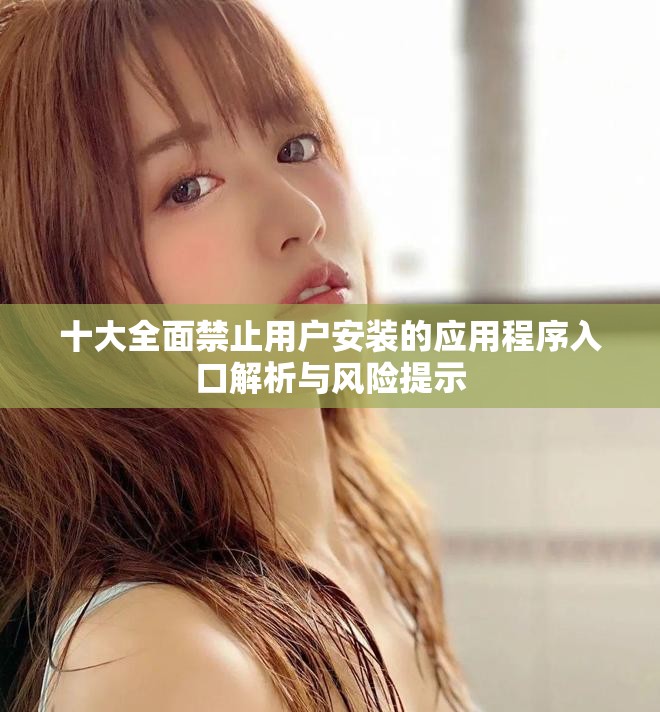 十大全面禁止用户安装的应用程序入口解析与风险提示
