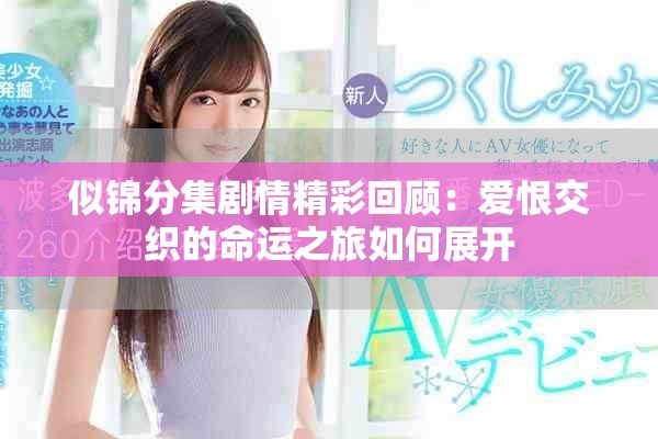 似锦分集剧情精彩回顾：爱恨交织的命运之旅如何展开