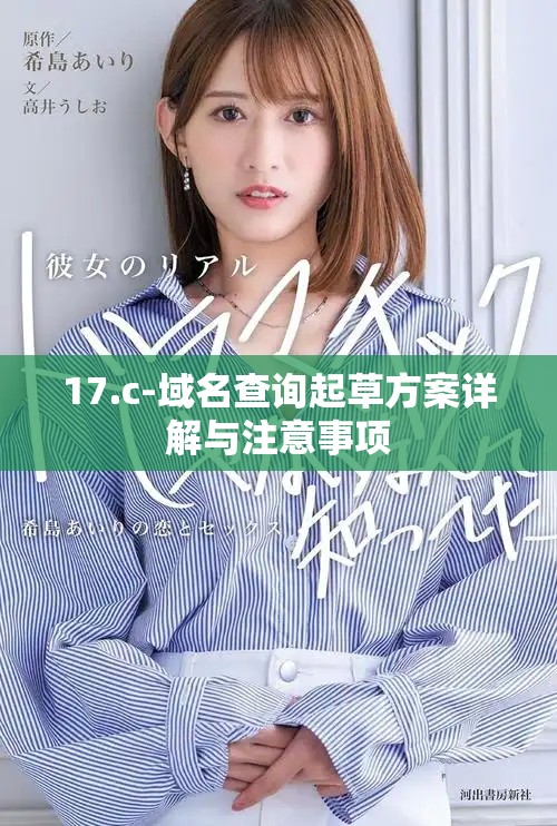 17.c-域名查询起草方案详解与注意事项