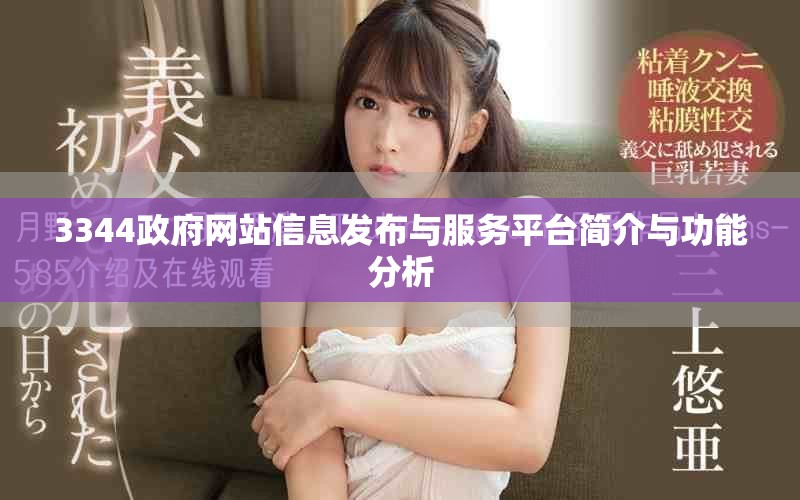 3344政府网站信息发布与服务平台简介与功能分析