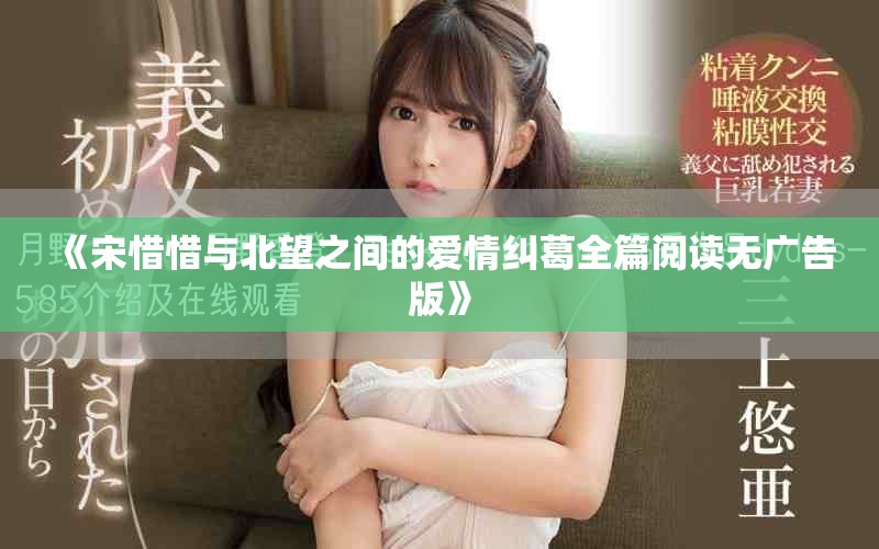 《宋惜惜与北望之间的爱情纠葛全篇阅读无广告版》
