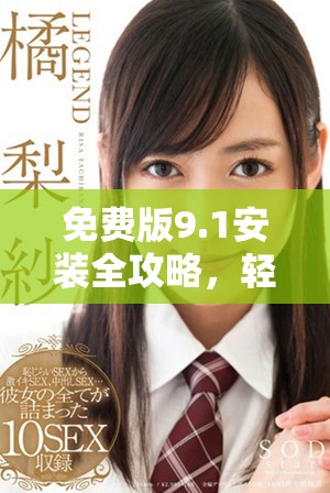 免费版9.1安装全攻略，轻松掌握操作步骤与技巧