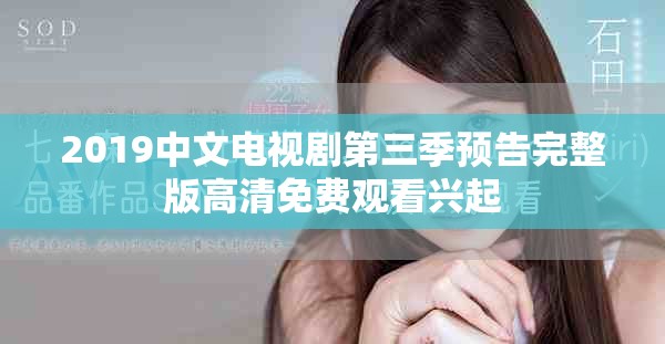 2019中文电视剧第三季预告完整版高清免费观看兴起