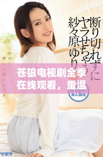 苍狼电视剧全季在线观看，重温经典故事与热血青春