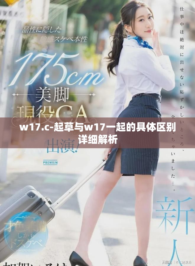 w17.c-起草与w17一起的具体区别详细解析